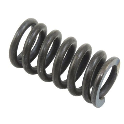 CYLINDER HEAD SPRING   SMALL STY 4767